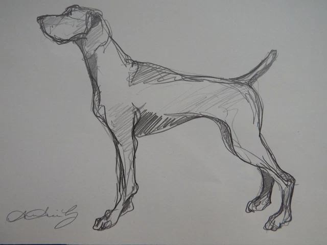 ORIGINAL EXPRESSIVE PENCIL Sketch Drawing Of A Standing Dog On Ivory original-expressive-pencil-sketch-drawing-of-a-standing-dog-on-ivory