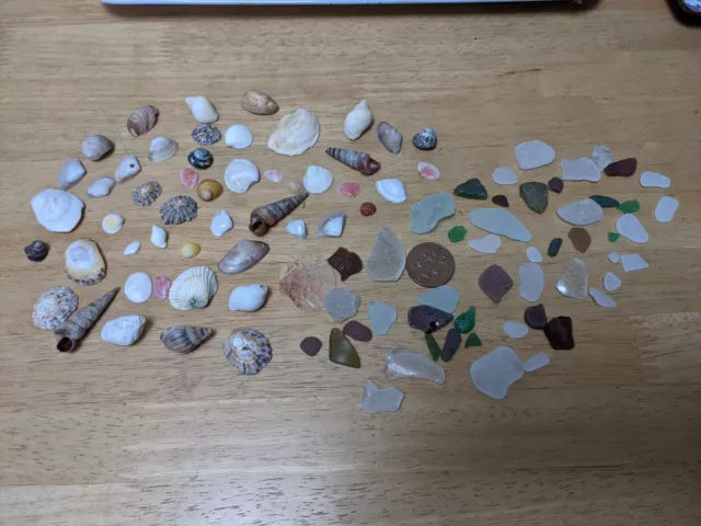 50x Genuine Devon coast sea glass pieces& 50 Devon coast shells,mosaic,art,craft