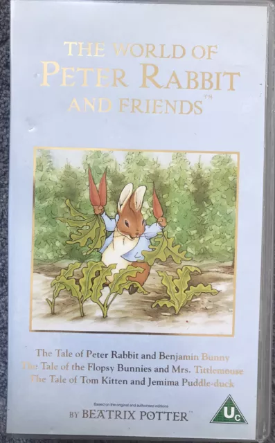 The World Of Peter Rabbit & Friends VHS & Brambly Hedge Poppy's Babies Sea Story 2