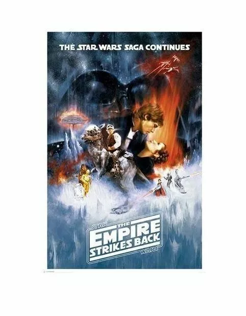 Star Wars The Empire Strikes Back Movie Rolled Poster Print Wall Hanging