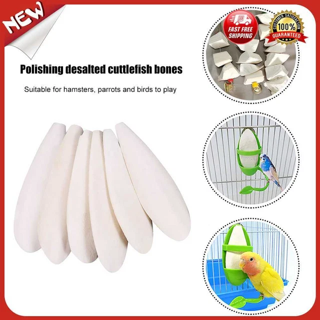 Juguetes para masticar huesos de sepia para pájaros comida calcio cuttlebone piedra para elegir