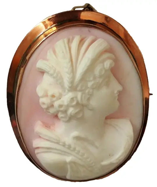 19th Century Cameo Brooch in 9ct Gold Surround 4.5cm x 3.4cm Oval ccbg