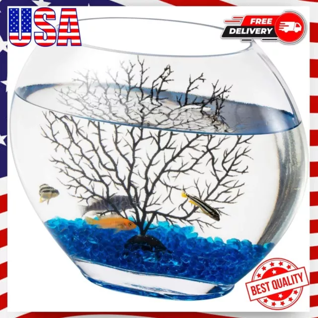 Mini Glass Oblate Fish Bowl Kit Small Fish Tank 0.7 Gal Crystal Clear Glass Tank