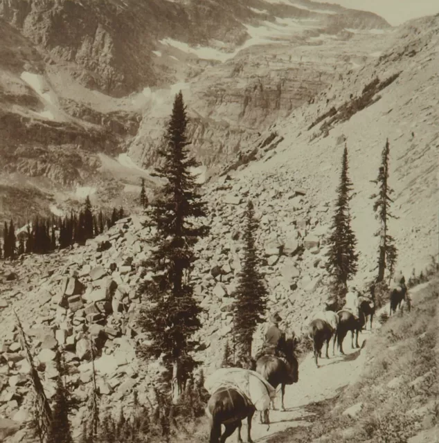 Square Top Keystone Stereoview Horses, Trail In Glacier Nat. Park, MT K600 #1105