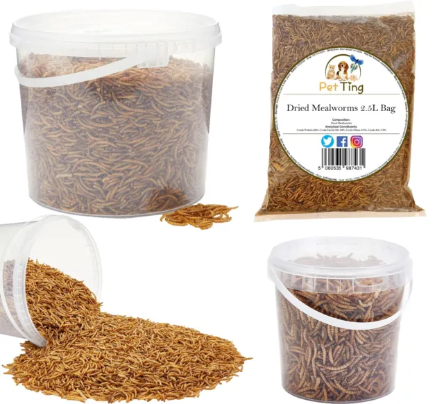 Premium Quality Dried Mealworms Wild Bird Food Garden Snacks For Birds. 1,2.5.5L