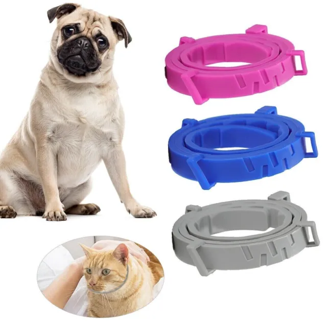 Adjustable Anti Flea and Tick Neck Collar For Pet Dog Cat 8 Months Protection