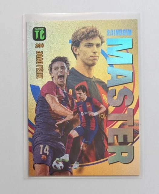 Libro di Carte Collezionabili di Calcio, Album Calcio Carte Album di carte 50 Pagine Capacità di 400 Carte,Libro di Carte di Calcio, Raccoglitore di