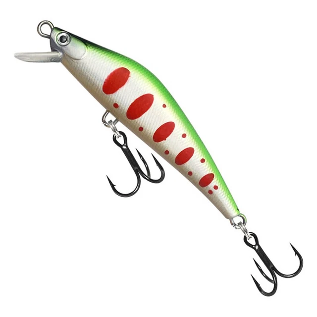 DMPT Additivo Per Esca Da Pesca In Polvere 30g | Attrae Carpe E Pesci D'Acqua Dolce | Esca Attrezzatura