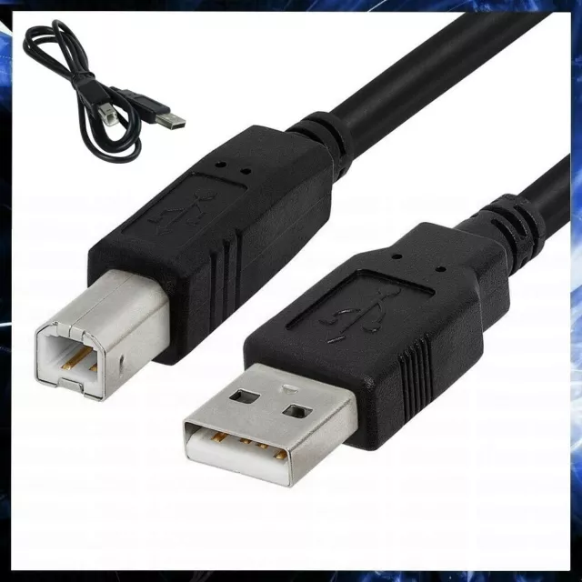 CÂBLE USB IMPRIMANTE 3 M Câble A/B Fil Extension Pour PC / Imprimantes HP  Epson EUR 6,39 - PicClick FR