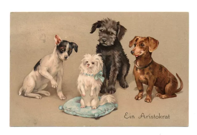 Cartolina Flatscher Sans Signature. Cani. Bassotto