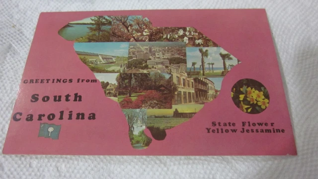 Postcard Greetings from South Carolina state flower Unused