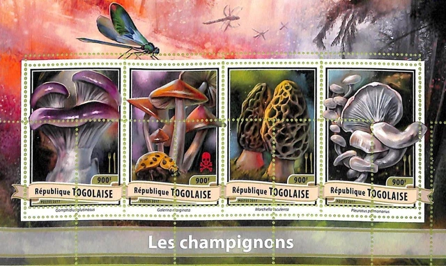 A9753 - TOGO - ERROR MISPERF Stamp Sheet - 2017 - MUSHROOMS