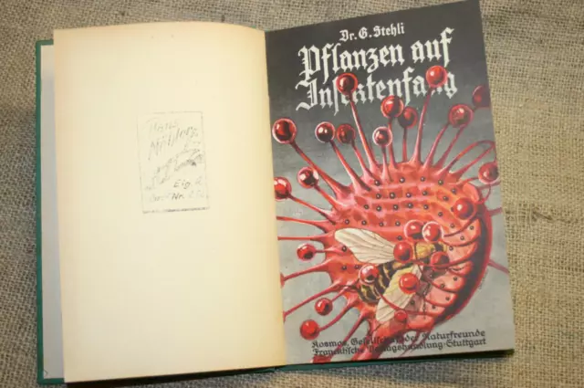 altes Fachbuch Fleischfressende Insektenfangende Pflanzen Sonnentau, 1934