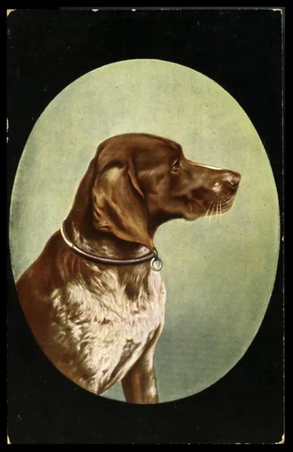 GERMAN SHORTHAIRED POINTER GSP DOG ANTIQUE ART POSTCARD Oval Head Study