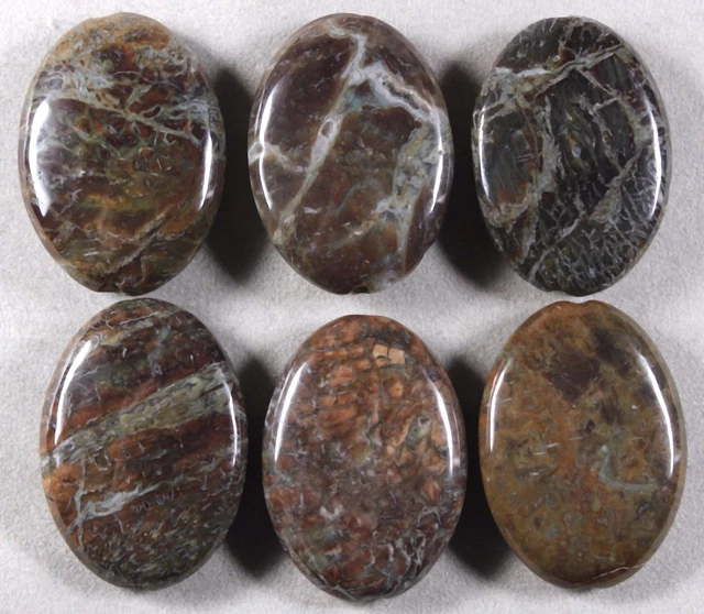 SIX NATURAL SNAKESKIN JASPER 35x25MM OVAL FOCAL BEADS SNAKE SKIN (169)
