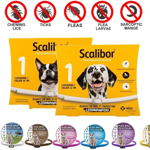SERESTO Bayer Chats Chiens Grands chiens + 8 KG Collier Anti-Puces Anti-Tiques 2