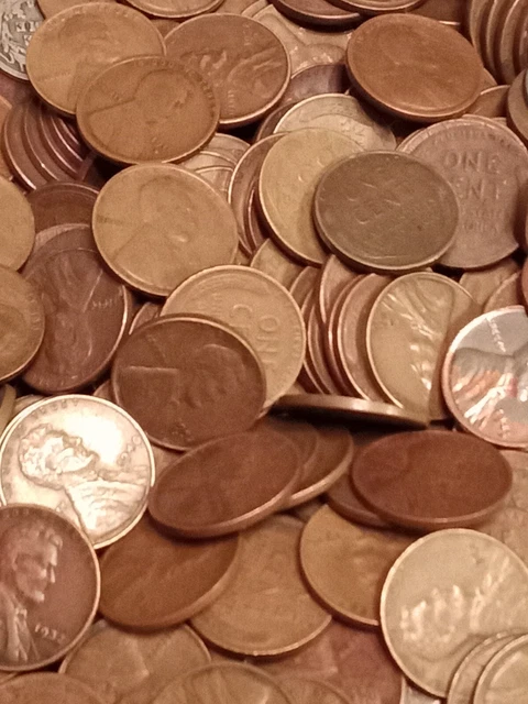 Lincoln wheat cent lot 24+ LBS pennies from old house Wheat Penny Vintage coins 13