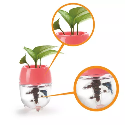 Aquaponic Fish Tank Aquarium for Betta Fish Water Garden Planter Top Lid Natural 3