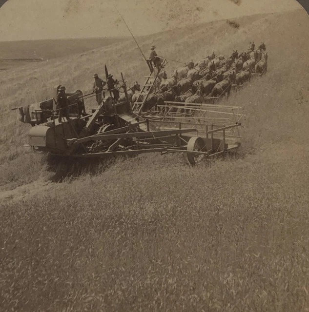 DEFINITION OF HORSE Power Drawn Combined Harvester Walla Wala WA