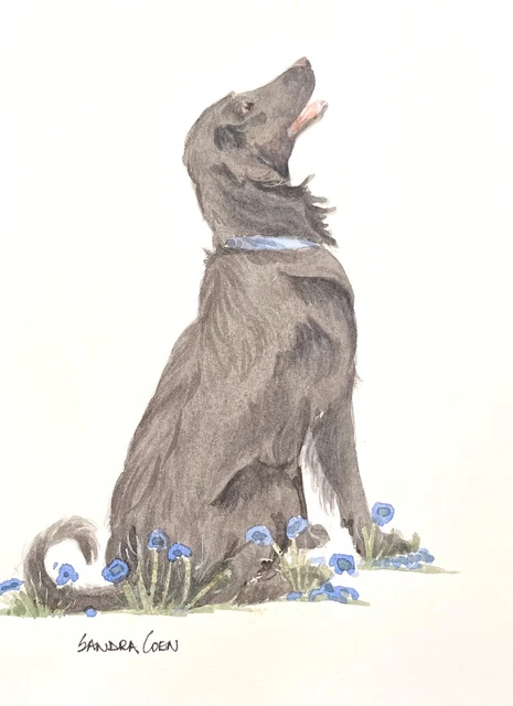 Flat Coat Retriever  Original Watercolor Painting by Sandra Coen