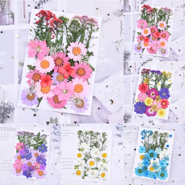 Pressed Flower Mixed Dried Flowers for Scrapbooking Craft Resin Jewelry Making