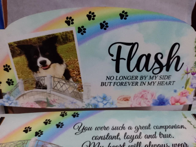 Banco Conmemorativo De Regalo De Pérdida De Mascotas - Personalizado Con El Nombre, Foto Y Verso De Tu Mascota