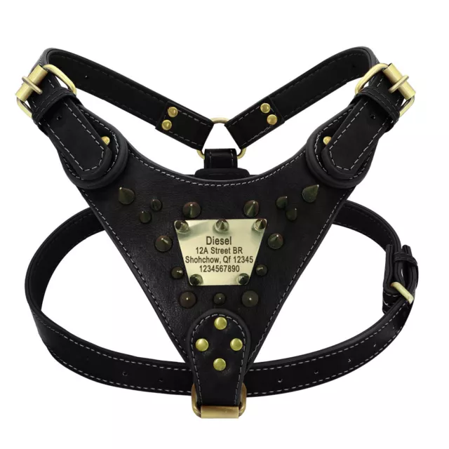 Personalized Dog Harness for Large Dogs Name Mastiff Leather Studs Tips DE- 3