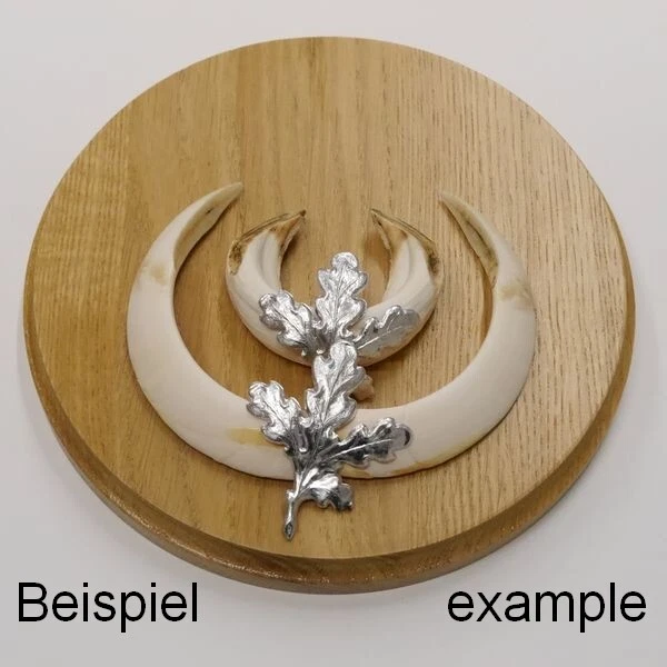 Placa de Jabalí Redondo Roble Claro Af 19 CM Con 2 Pieza Aluminio Hoja Portada 3
