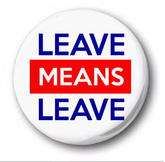 LEAVE MEANS LEAVE - 25mm 1" Button Badge - Brexit EU Referendum Democracy