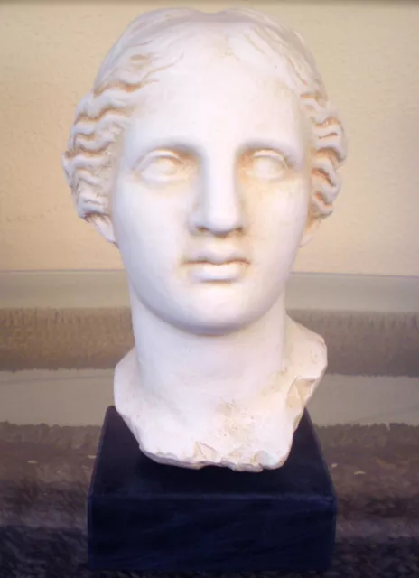 Aphrodite Bust - Goddess Of Love Beauty - Venus