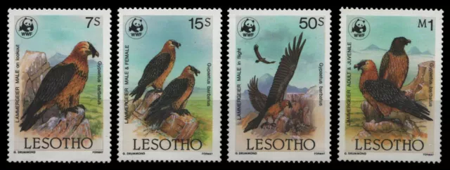 Lesotho 1986 - Mi-Nr. 556-559 ** - MNH - Vögel / Birds