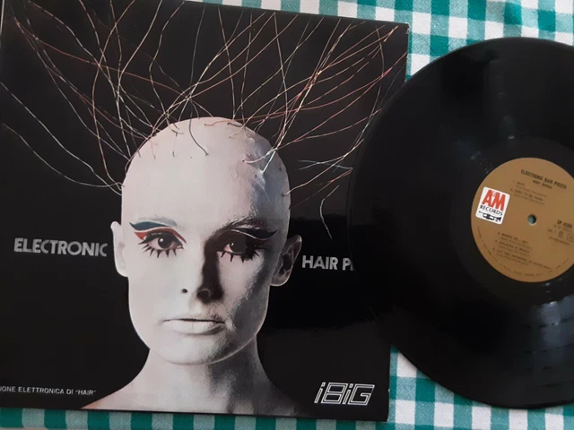 Mort Garson Electronic Hair Pieces IN VENDITA PicClick IT
