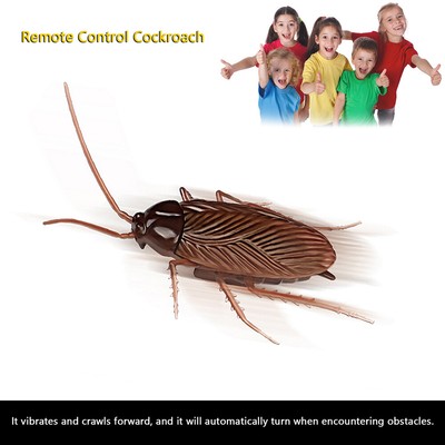 realistic fake remote control cockroach