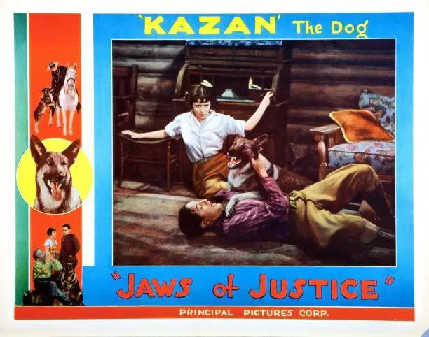 Jaws Of Justice Lobby Card Kazan The Wonder Dog 5 Old Photo