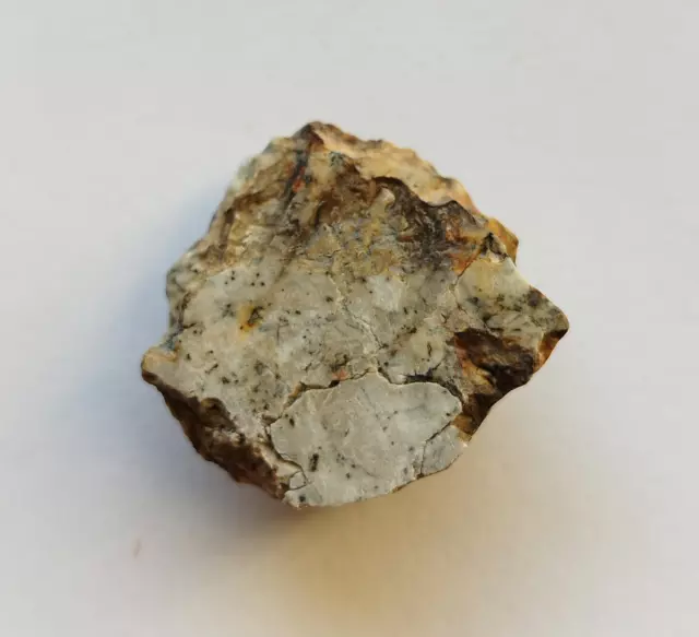 NEW Djoua 001 Meteorite achondrite enstatite aubrite end 8.8g