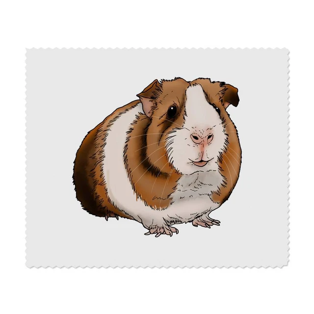 2 x 'Cochon d'Inde' Chiffons de nettoyage pour lentilles (LC00012529)
