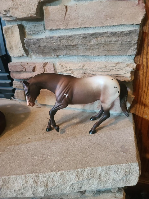 Peter Stone Performance Horse  Appaloosa 1998