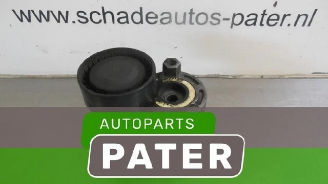 117503662R TENSIONNEUR COURROIES MULTIPLES Renault Clio III (BR/CR) 2012