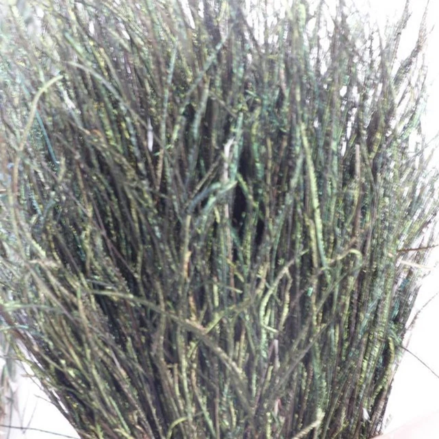200 pièces/sac soie plume de paon naturelle pour pêche à la mouche appât art