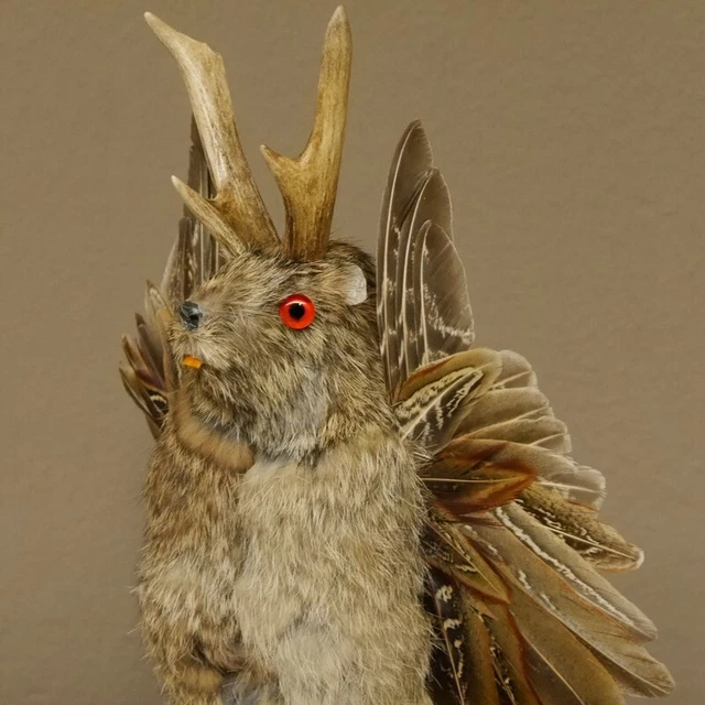 Wolpertinger Maclean Preparado Con Rojo Ojos, Ala Y Cornamenta #86.3.83 3