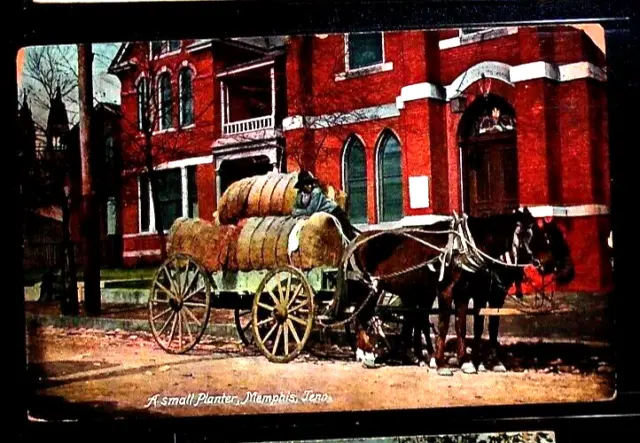 Memphis, TN vintage Black Americana post card  Farm Wagon post card