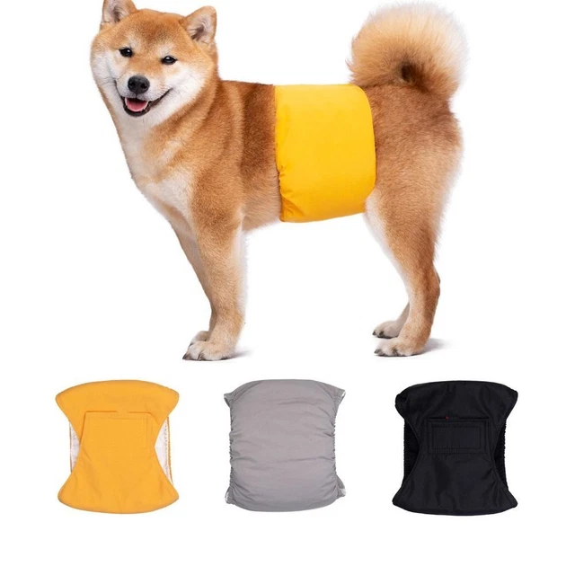 Banda envolvente Ropa Interior Sanitaria Hombre Perro Envoltura Perro Pantalones Manal Cachorro Mango