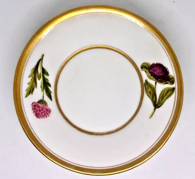 ANTIQUE  PARIS Porcelain  Botanical PLATE - Thistles ?  - Early 19th. Century  .