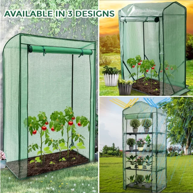 Weatherproof 4-Tier Greenhouse,Slanted and Gable Tomato Greenhouse for plants