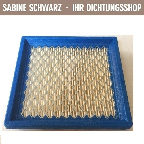 Luftfilter Für Gutbrod 090.50.593 G TWG 550 | Deutschland
