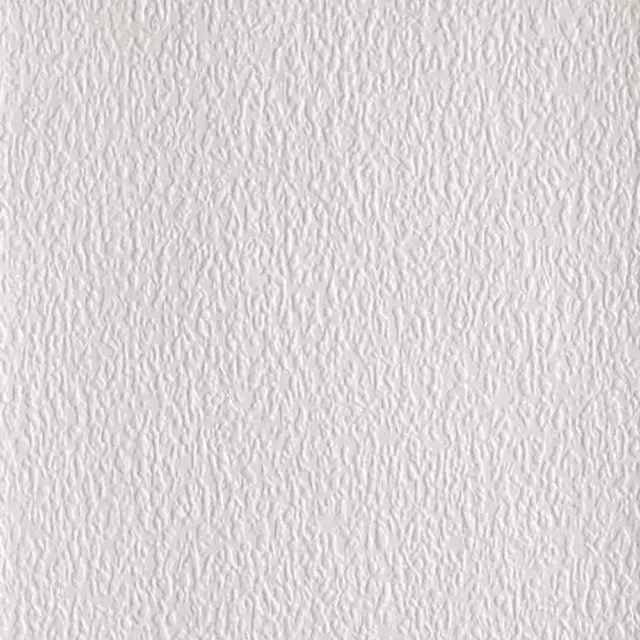 Dentelle Écorce Texture Papier Peint Gaufré à Peindre Anaglypta Blanc RD181