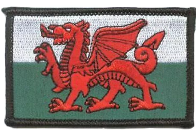 Very Small Wales Dragon Oblong Embroidered Patch Badge