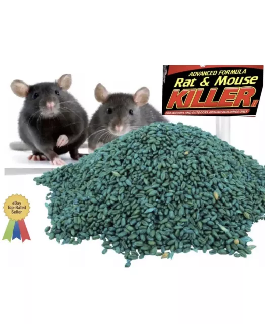 Rat Mouse Poison Bait Max Strength Rodent Killer Grain Kills In A Single Feed