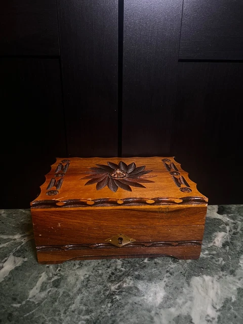 Tunnel D'oreille (plug) En Bois Ironwood Tamarin - Fait Main - Grain Naturel Lumineux - Bijou Tribal