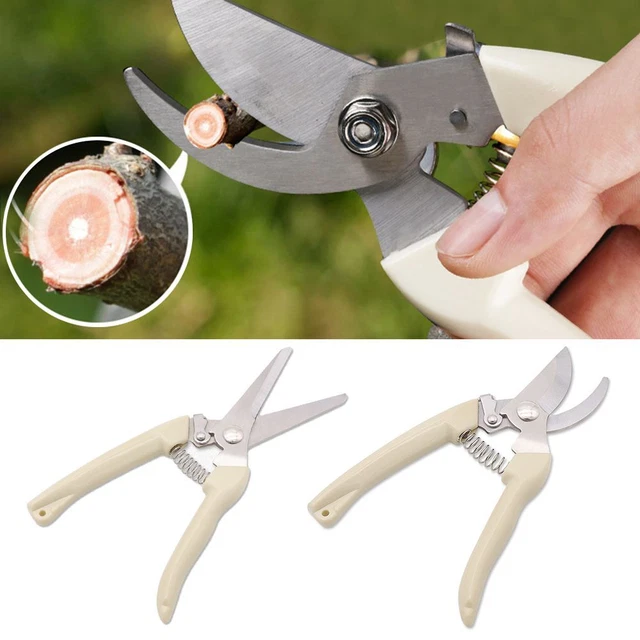 Outils à main Pruneur greffage Outil de greffage de jardin Ciseaux de jardin